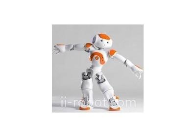 海风智能机器人-nao机器人-双足人形研发平台 厂家直销